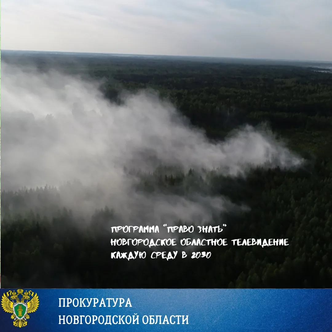 Весна для Новгородской области, как и для многих других субъектов нашей страны – пора, когда возникает угроза природных пожаров Весна для Новгородской области, как и для многих других субъектов нашей страны – пора, когда возникает угроза природных пожаров