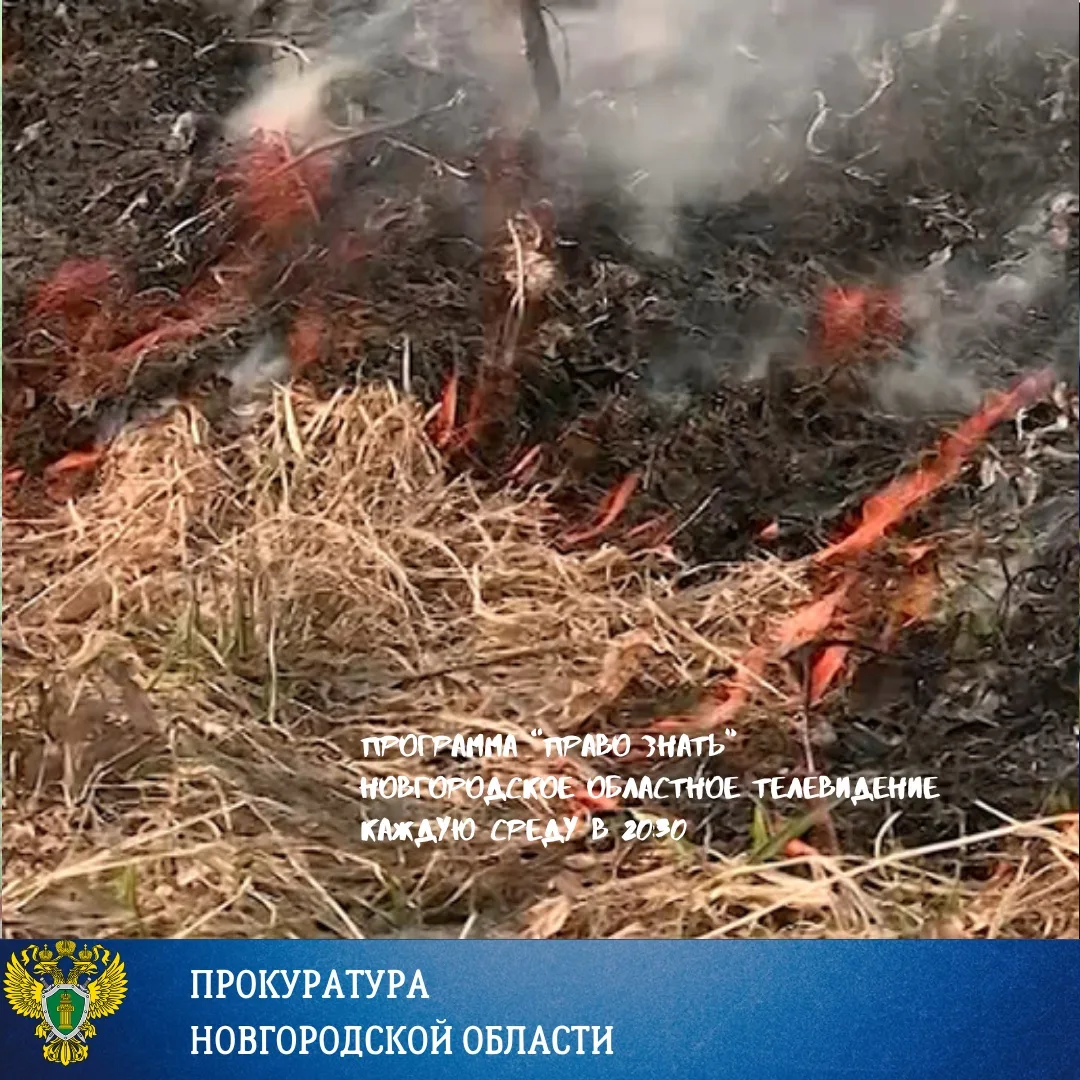 Весна для Новгородской области, как и для многих других субъектов нашей страны – пора, когда возникает угроза природных пожаров Весна для Новгородской области, как и для многих других субъектов нашей страны – пора, когда возникает угроза природных пожаров