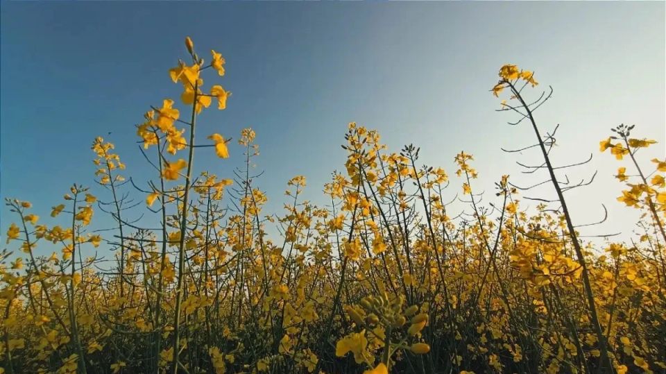 � ������������, ��������, ������� � ��������� ������� ������� �����, ����������� ����� � �������