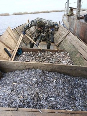 На акцию «Доступная рыба» рыбаки привезут снеток