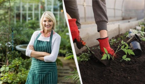 Январь 2026: лучшие советы по посеву для успешного урожая