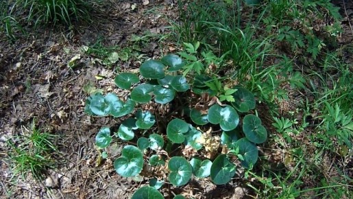 ��� ������ �������� ����������� ������� �������� ������ �������