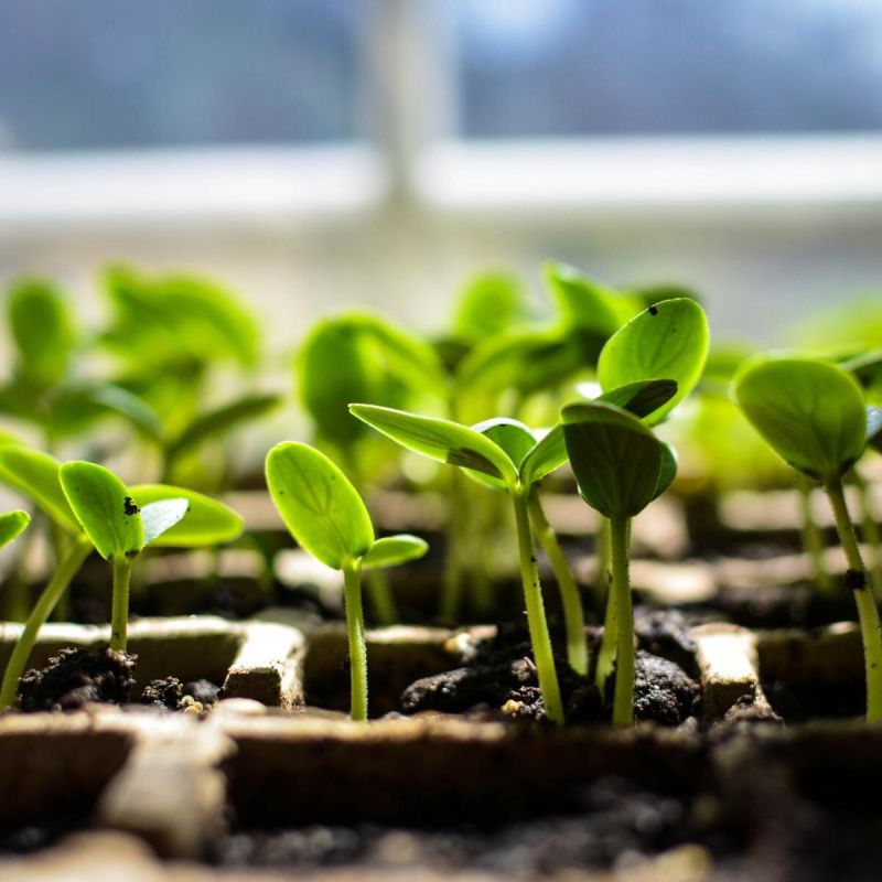 ��� �������� ������������ ������� � ��������� ������� ��������