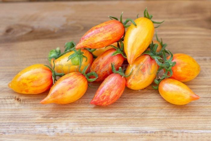 ����� ������� ����: ���������� ���� � ����� ��� ��������� ��������