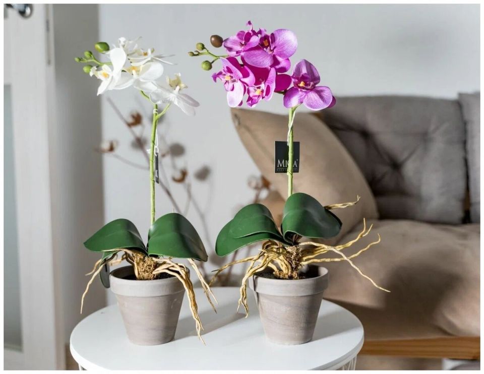 ��� ������� ��������� ������ ��� �������: ��������� ������ ������