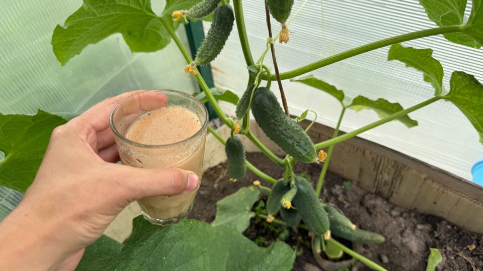 ��� ������� � ����� ������ � ���������� ��������: ����������� ������