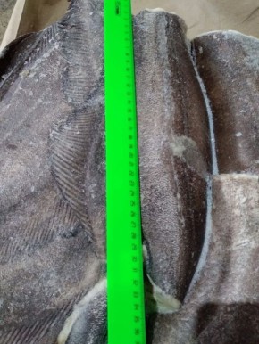 ��� ����� ������ ������?