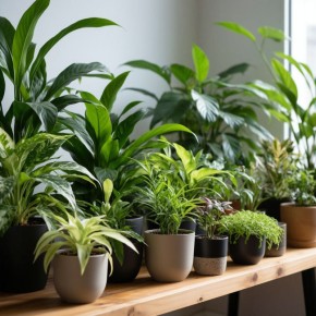 ��� ������� ��������� ��� ��������� ��������: ������� ����� � ������ ������