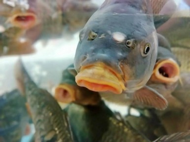 ��������� ����� �������� � ������������ ������� �� ����������� �������� ����