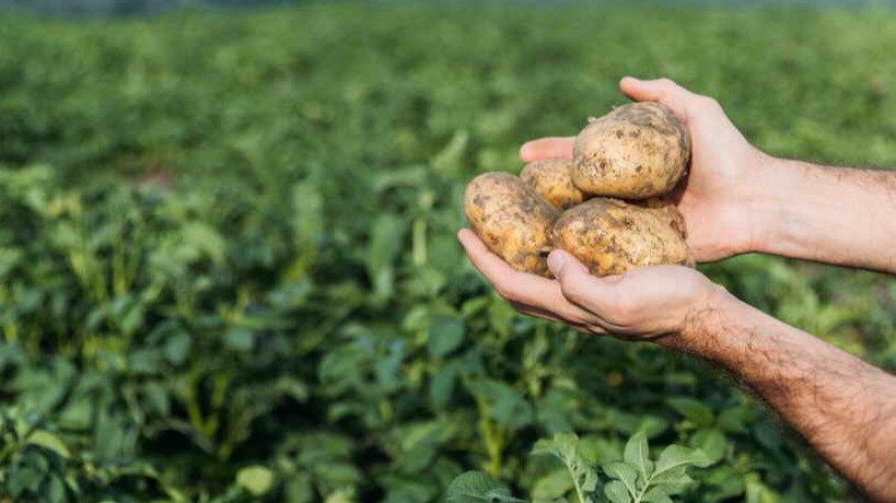 ��� ���������� �� ������������ � ��������� ��������� ��������� � ������� �������