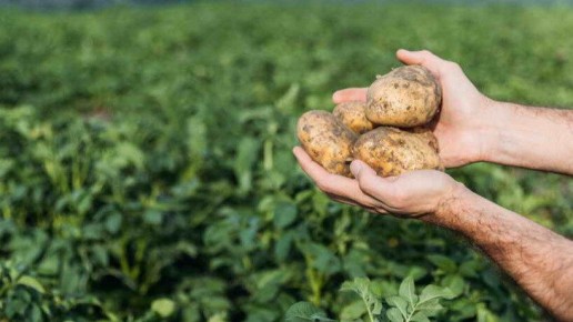 ��� ���������� �� ������������ � ��������� ��������� ��������� � ������� �������