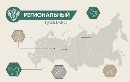 � ����� ���������� ������� ������������ � ������������ ����������������� � ��������