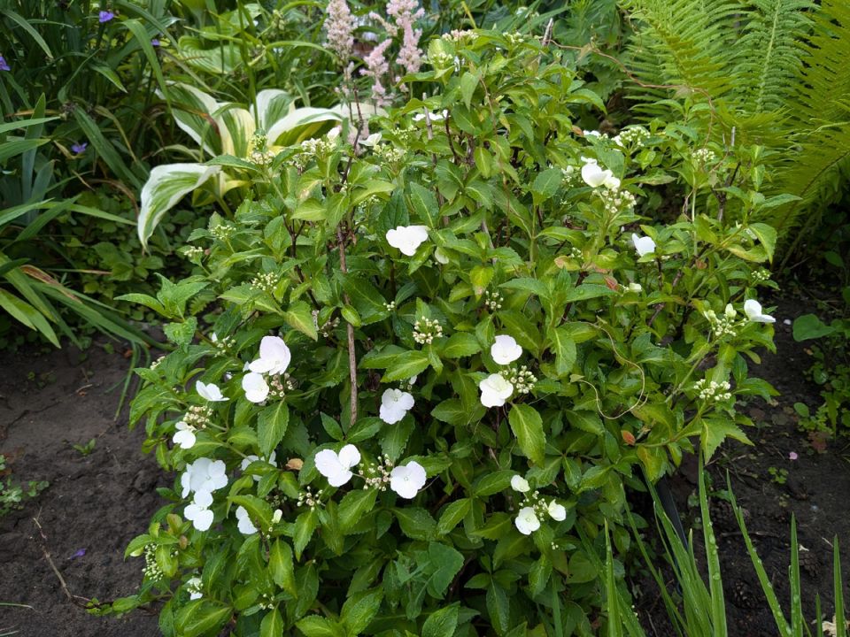 ��������� '��������� �������': ������ ������ ��������� ������ � ��� �� ����� �����?