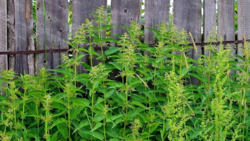 ��� ���������� � ��������� ����� ������: ����������� ������� �� ���� �����