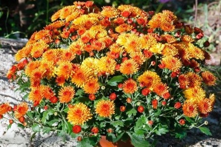 ����� ���� ��������� � ������������: 6 ���������, ������� ������ ������������