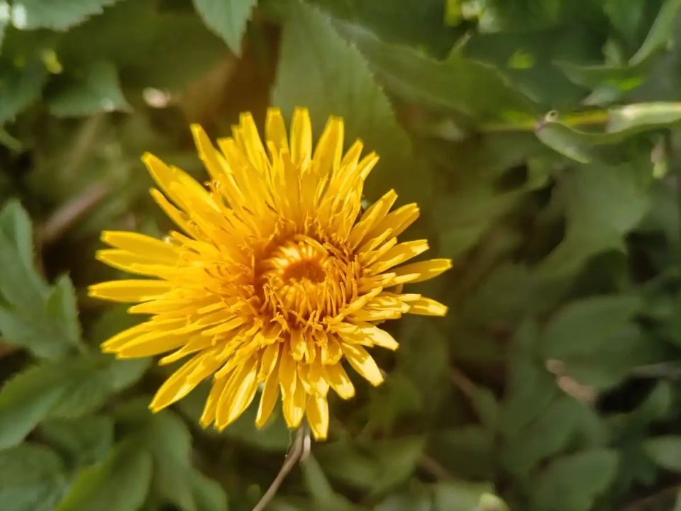 ������ ��������� �� -5 �������� ������������ � ������������ �������