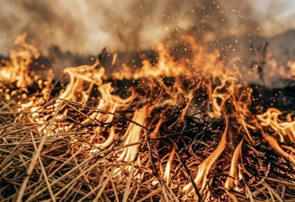 � ������������ ������� ���������� ������ ��������������� �����