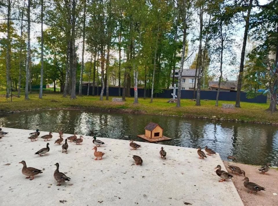 ���������� ��������� ������ ������� ����������� ���������� �� ������� ��������������� �������