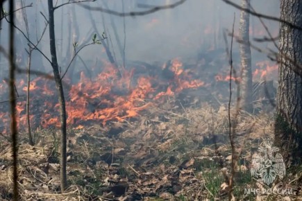 �������-������������ ������������� ����������� ���� ����� � ������� ���������, ������������ � ������������ �������