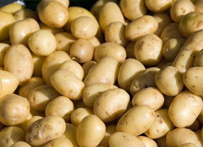 ��� �������� �������� ������ ���������: ������� ��������� ����� ����� �������