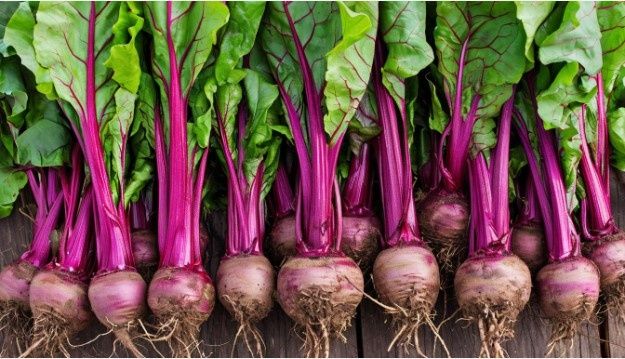 ���������� ����� � ���������� � ��������: ���������� ���� � �������� � ����� �������