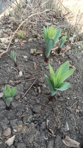 ��� �����: � ������ � ������ � �������� ��� ����