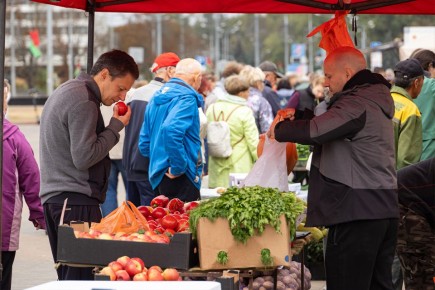 �������� ������� � ������: ������� � ������ ����� �� ��������� �����