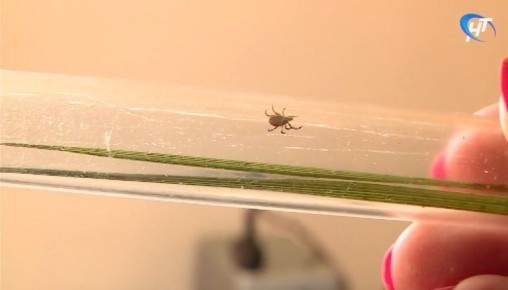 � ������������ ������� �������� ������� ������������ ������ �����������