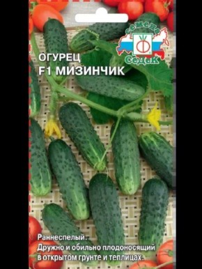 ������ �������: ��������� ������� ��� ��������� ������� � �������