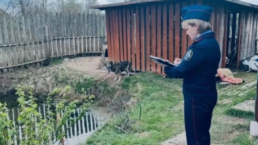 � ���������� ������ �������� �������� �� ����� ������ ������� � �����