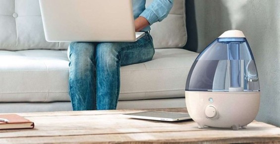 ���� �� ������: ���� �������� ��������� � ����� ����