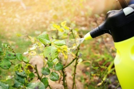 ��� �������� ������� �� ������� ��������: ������ � ������������