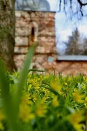 ��������� ������� ��������