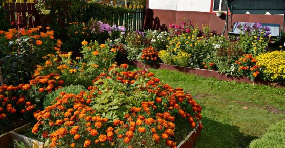 ��������: ������� � ������ �� ����� �������