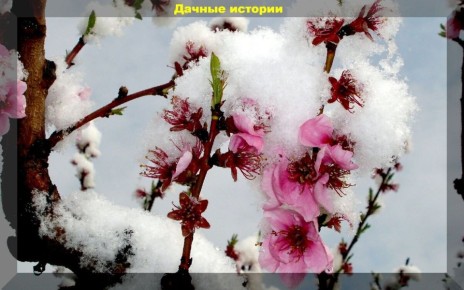 ��� �������� �������� �� �������� �������: ������ ��� ���������