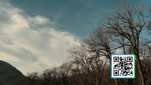 ���������� ������� � ������� �������� ����� �� ���� ������!