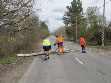 �������� ������ ���������� ������������� ����������� ��������