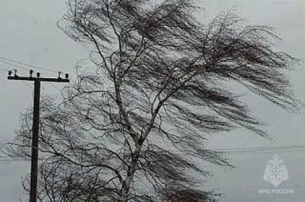 ��������!. ����� ����������� ��������� ��������������� ������� ������ � ������������ ������� ������������� ����� ���������� �������������