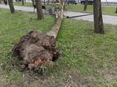 ����� 7 ������� ������� ������������ ������� ������������ ���������������