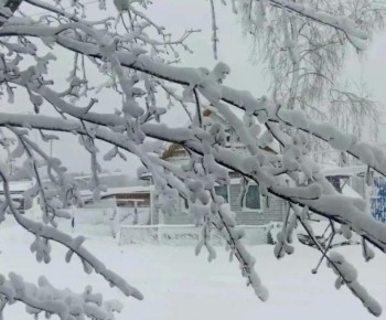 �� ������ ������������ ������� ��������� ����