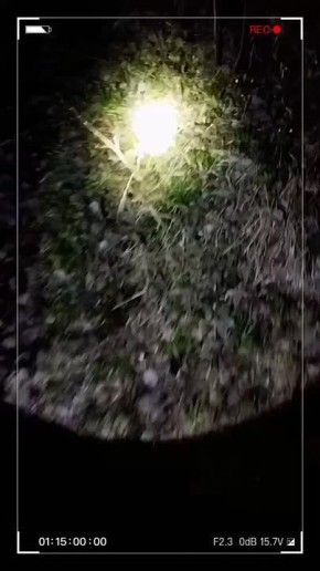 ���������������� ������������ ��� � 57 ��������� ������� ������������ �������