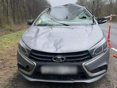 ���������� ����� ����� ���������� � ��� � ����� � ������������ ������