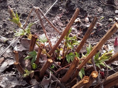 ��� �������� ����� � ������� ������� �� ����