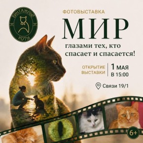 ������ � ������� ��������� ��������� ���������� ������������