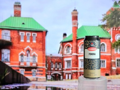 ����� ������ �� NEIPA: ������� ������� ���� � �������������� �������� LalBrew Pomona