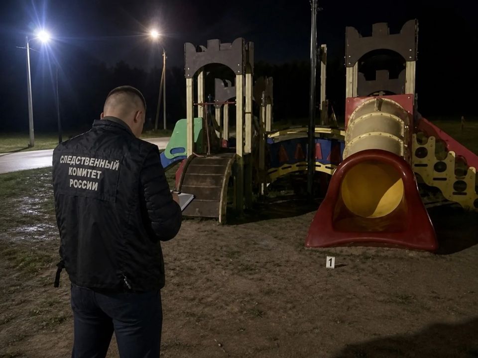В Новгородской области возбуждено уголовное дело по факту гибели малолетней девочки