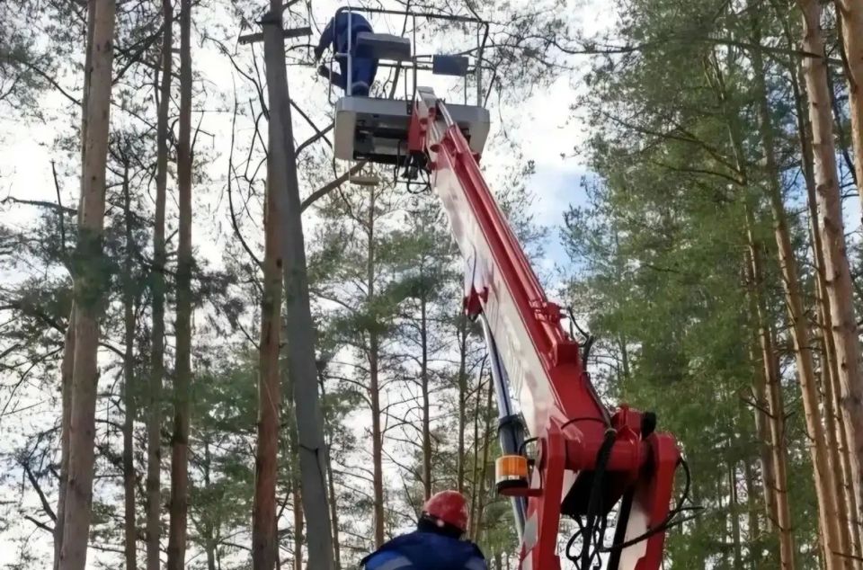 Без света в Новгородской области остаются почти 500 человек в трёх округах