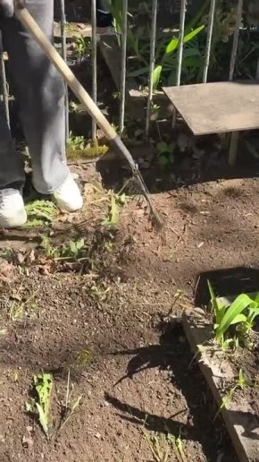 �� ���������� �������� ��������� ���������