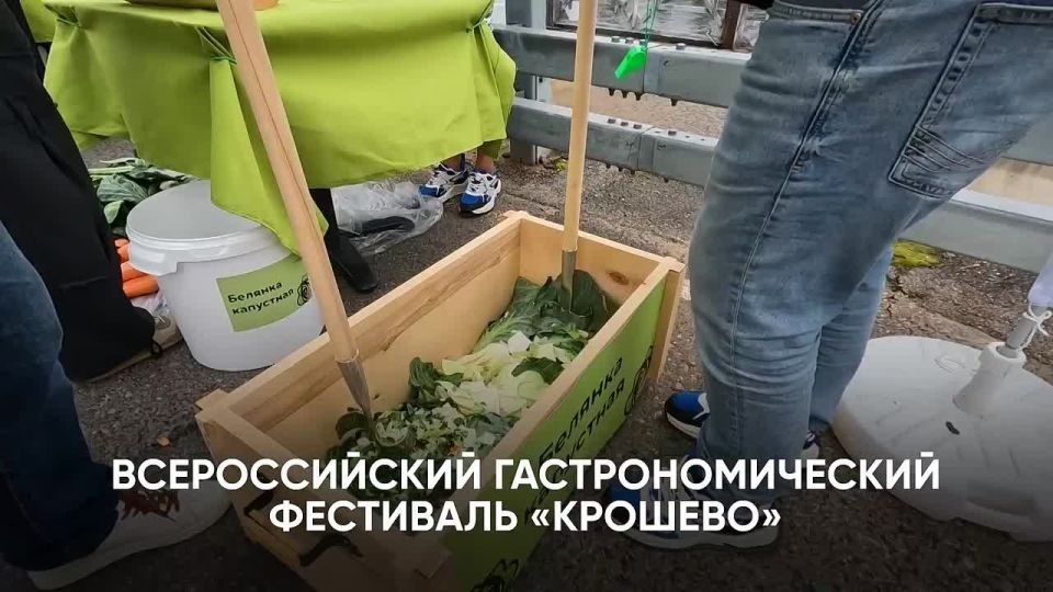 Александр Дронов рассказал о ключевых культурных событиях Новгородчины