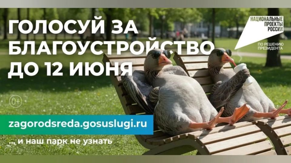 Каждый новгородец способен изменить свой город к лучшему – даже пустырь может стать парком!